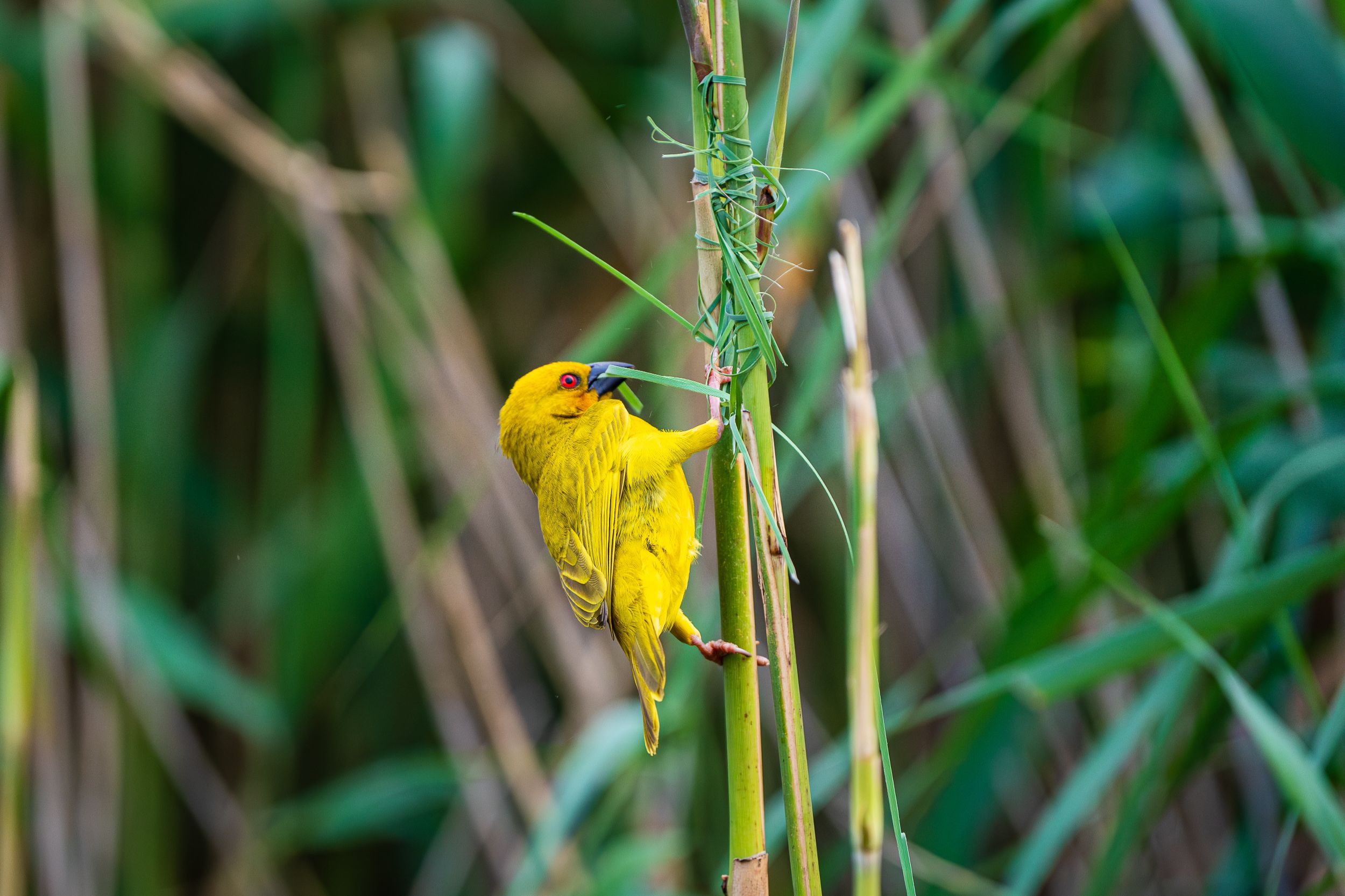 20230924 160205 Fotobuch Südafrika  8